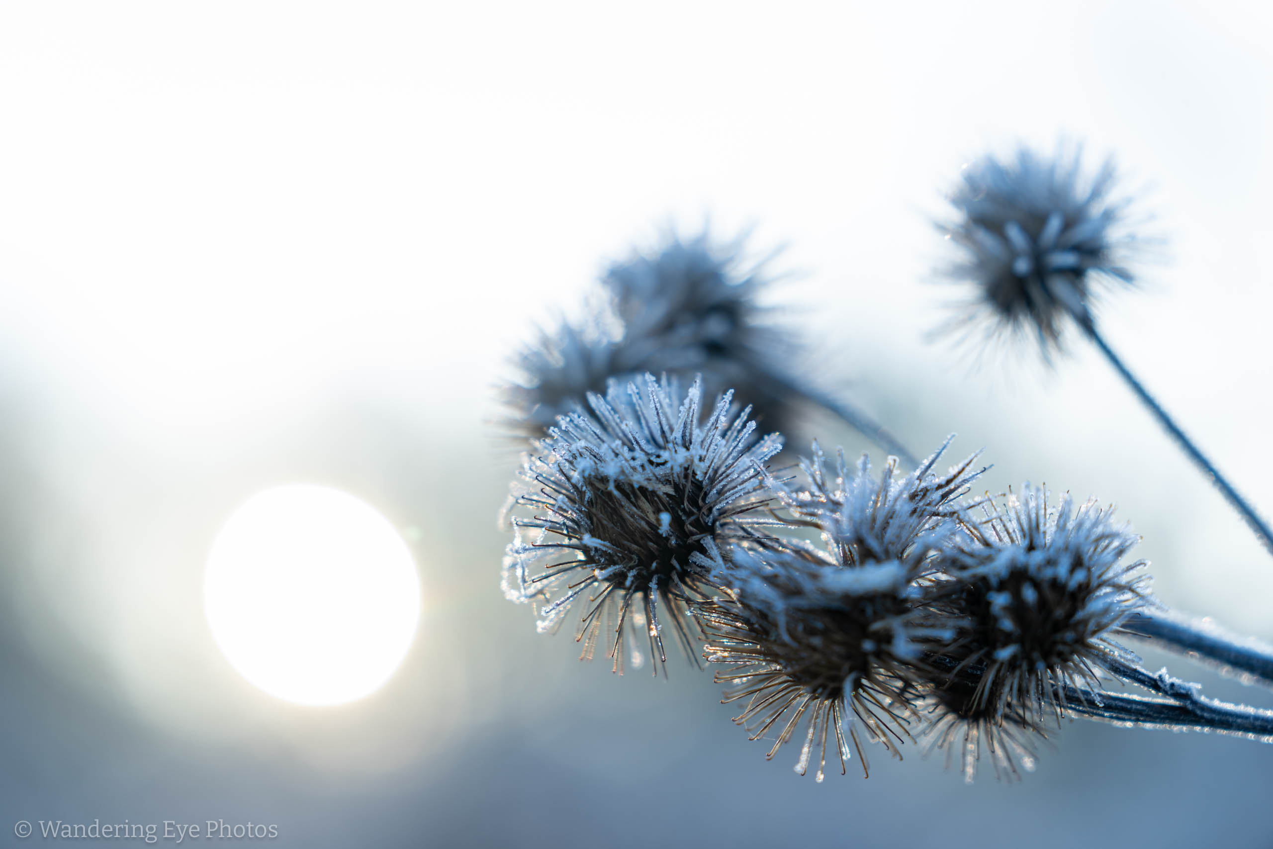 01.10 09.18.54   DSC06793